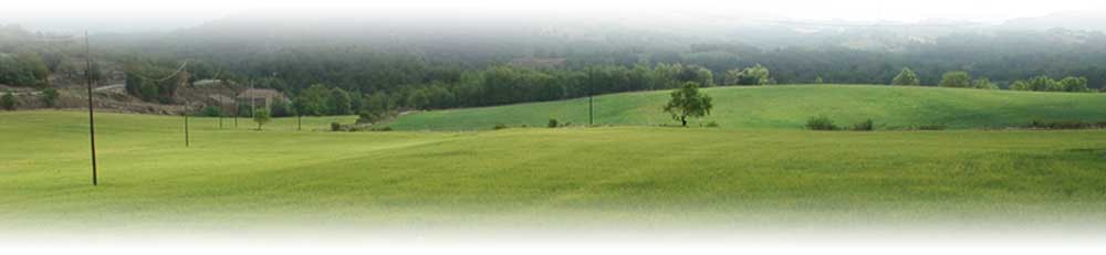 Vista del paisatge a la primavera